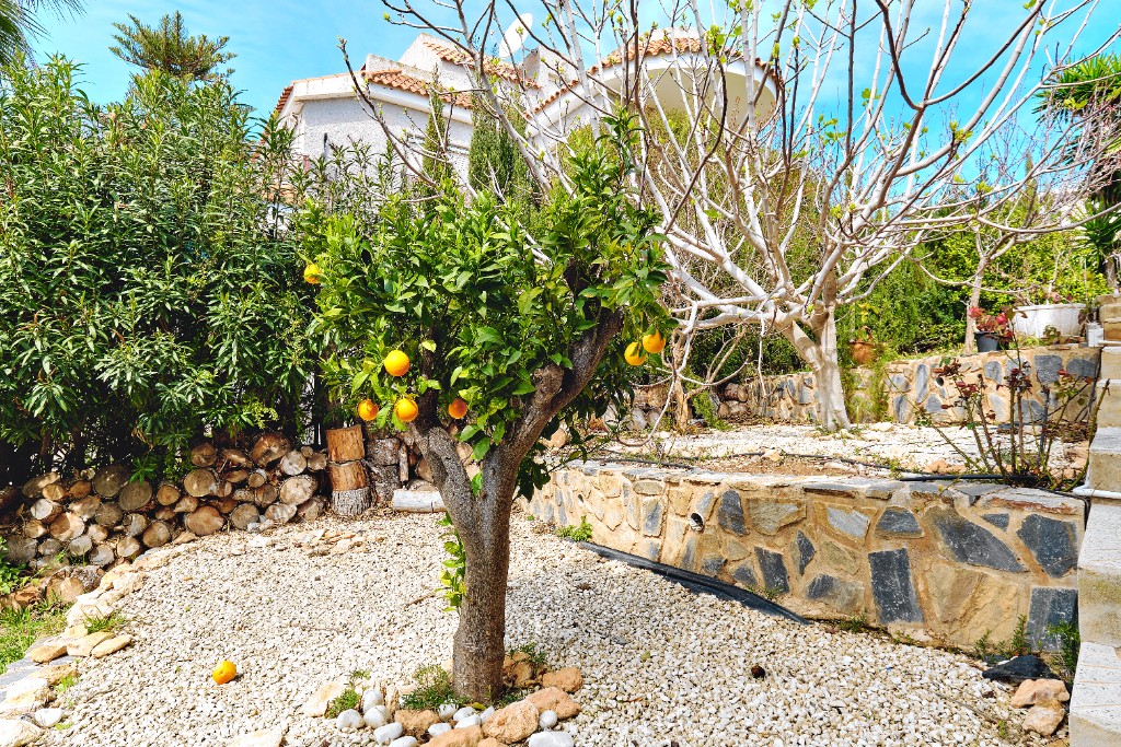 For sale - 4 Bedroom 2 Bathroom Villa in Campoamor - Dehesa de Campoamor  - Alicante