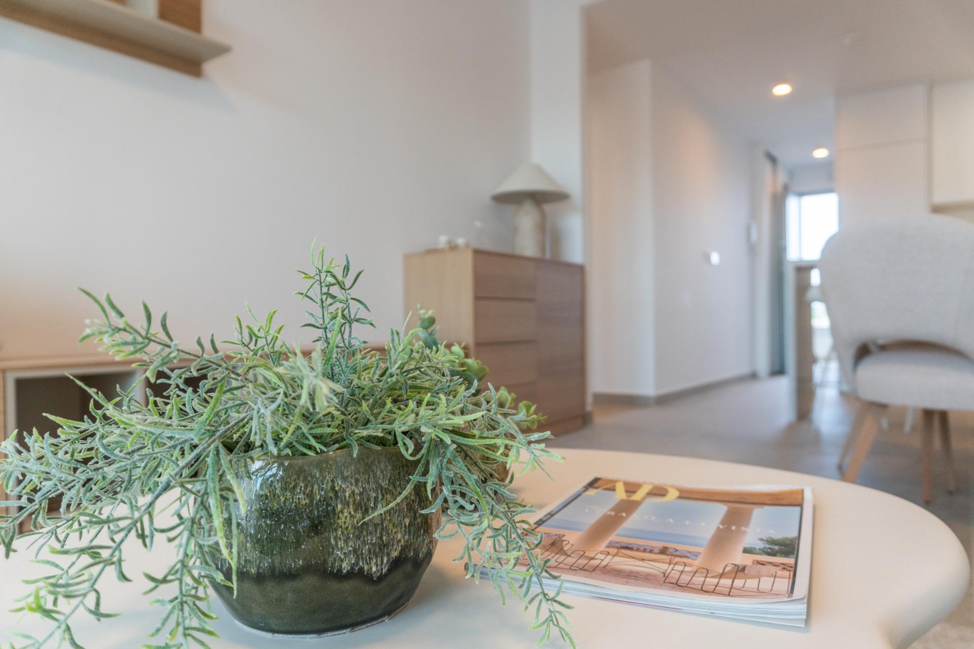 For sale - 2 Bedroom 2 Bathroom Apartment in Playa Flamenca - Playa Flamenca  - Alicante