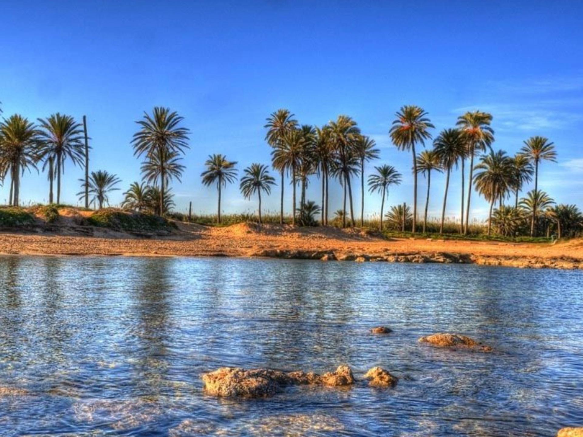 For sale - 1 Bedroom 1 Bathroom Apartment in Torrevieja - Playa Del Cura  - Alicante