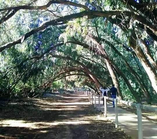 For sale - 2 Bedroom 2 Bathroom Bungalow in Torrevieja - Altos del Sol  - Alicante