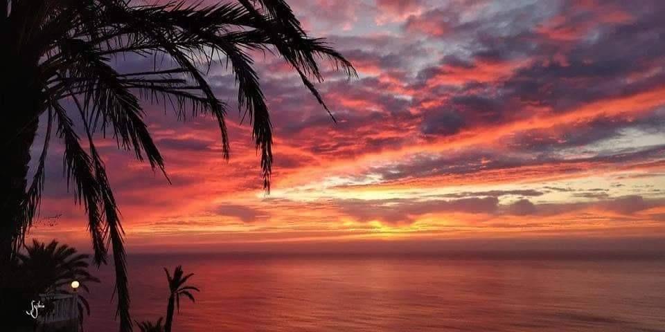 For sale - 2 Bedroom 2 Bathroom Bungalow in Torrevieja - Altos del Sol  - Alicante