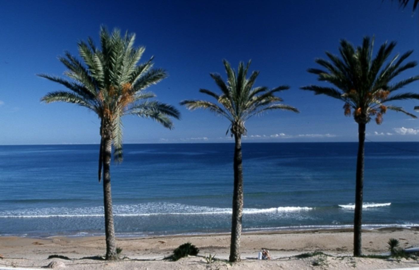 For sale - 3 Bedroom 2 Bathroom Bungalow in Pilar de La Horadada - Parque Ramon eugenio Escudero  - Alicante