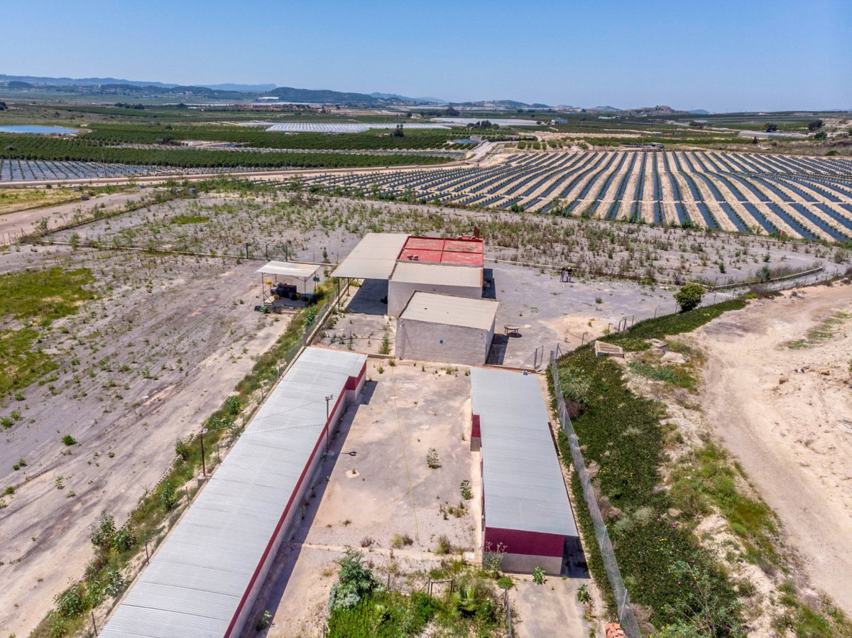 For sale - 2 Bedroom 2 Bathroom House - Finca - Cortijo in Los Montesinos - Los Montesinos Centro  - Alicante