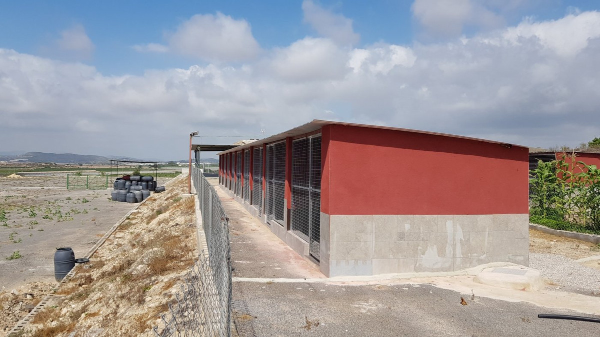 For sale - 2 Bedroom 2 Bathroom House - Finca - Cortijo in Los Montesinos - Los Montesinos Centro  - Alicante