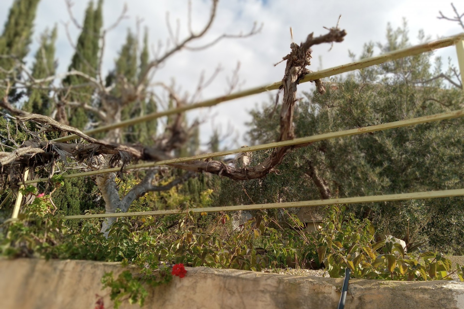 For sale - 4 Bedroom 2 Bathroom Semi-Detached in Murcia - Murcia  - Murcia