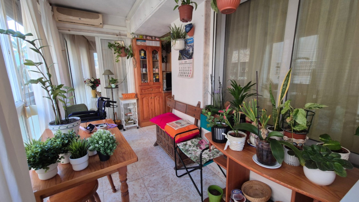 For sale - 3 Bedroom 2 Bathroom Apartment - Ground Floor Apartment in Torrevieja - Torrevieja Centro  - Alicante