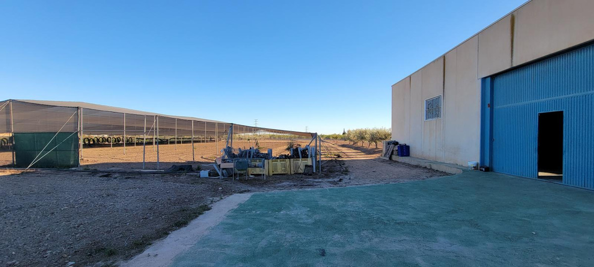 For sale - 1 Bedroom 1 Bathroom House - Finca - Cortijo in San Miguel de Salinas - San Miguel de Salinas Centro  - Alicante