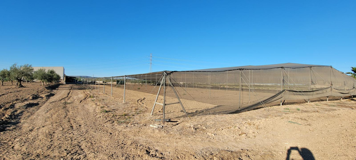 For sale - 1 Bedroom 1 Bathroom House - Finca - Cortijo in San Miguel de Salinas - San Miguel de Salinas Centro  - Alicante