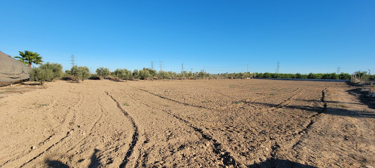 For sale - 1 Bedroom 1 Bathroom House - Finca - Cortijo in San Miguel de Salinas - San Miguel de Salinas Centro  - Alicante