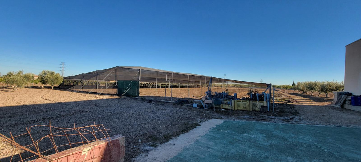 For sale - 1 Bedroom 1 Bathroom House - Finca - Cortijo in San Miguel de Salinas - San Miguel de Salinas Centro  - Alicante