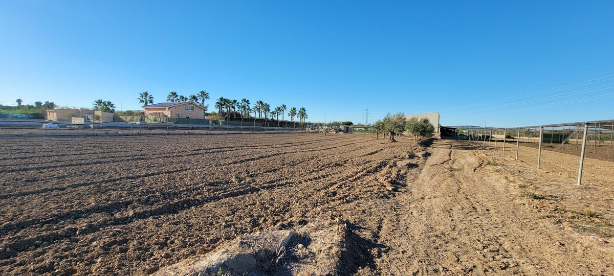 For sale - 1 Bedroom 1 Bathroom House - Finca - Cortijo in San Miguel de Salinas - San Miguel de Salinas Centro  - Alicante