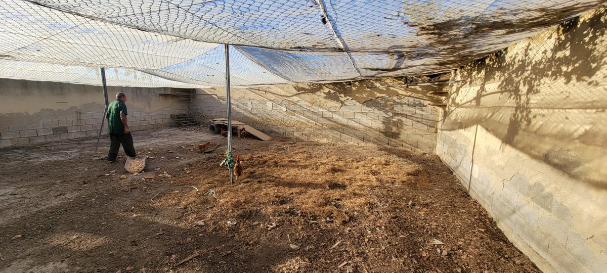 For sale - 1 Bedroom 1 Bathroom House - Finca - Cortijo in San Miguel de Salinas - San Miguel de Salinas Centro  - Alicante