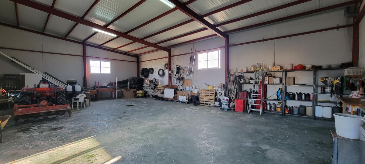 For sale - 1 Bedroom 1 Bathroom House - Finca - Cortijo in San Miguel de Salinas - San Miguel de Salinas Centro  - Alicante