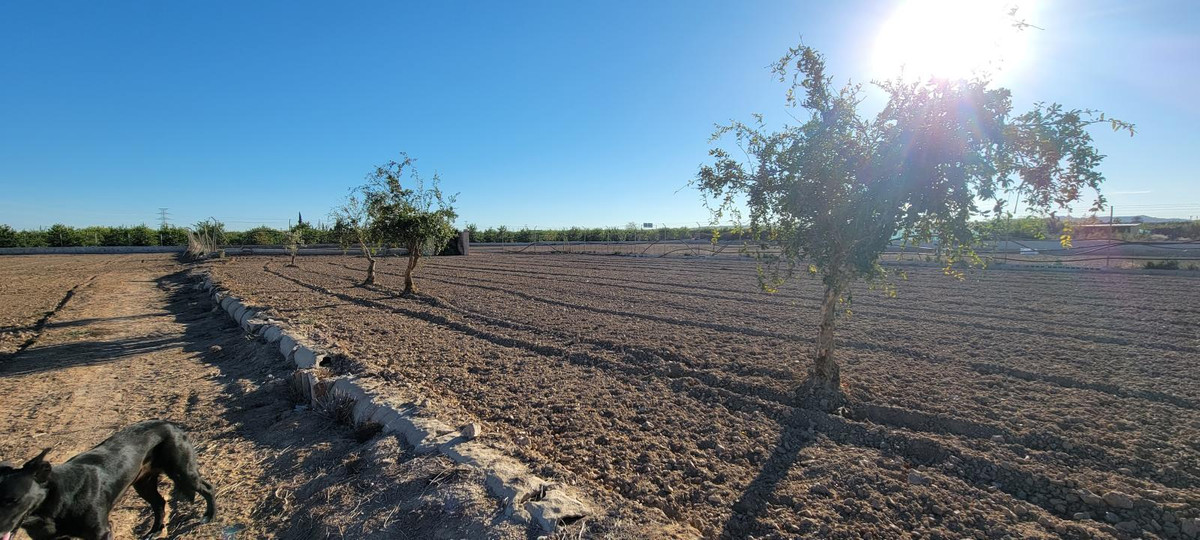 For sale - 1 Bedroom 1 Bathroom House - Finca - Cortijo in San Miguel de Salinas - San Miguel de Salinas Centro  - Alicante