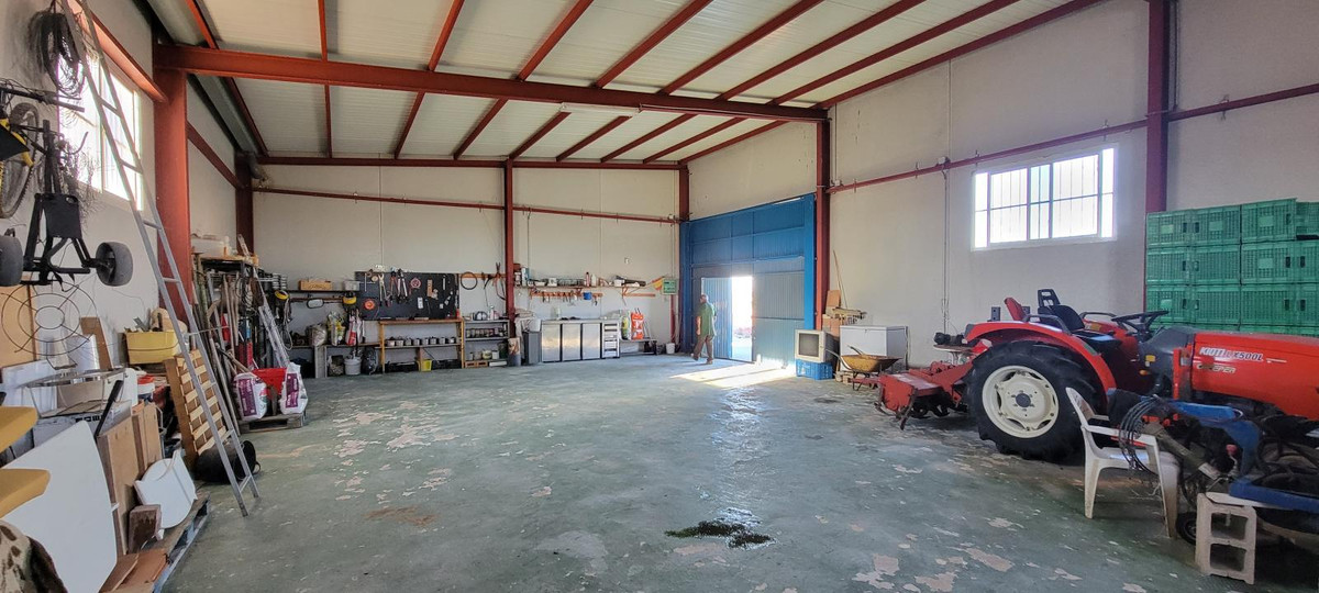 For sale - 1 Bedroom 1 Bathroom House - Finca - Cortijo in San Miguel de Salinas - San Miguel de Salinas Centro  - Alicante