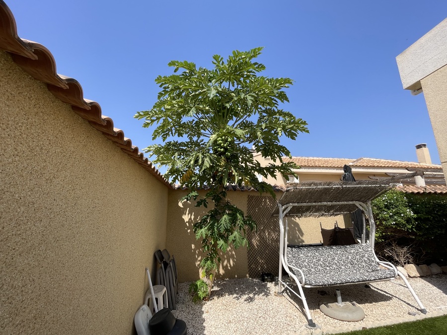 Sold - SOLD! 4 Bedroom 3 Bathroom Villa in Ciudad Quesada - , Ciudad Quesada, Alicante, Spain - Alicante