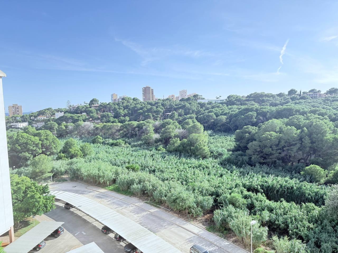 For sale - 3 Bedroom 2 Bathroom Apartment in Orihuela Costa - Campoamor  - Alicante