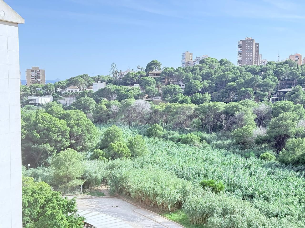 For sale - 3 Bedroom 2 Bathroom Apartment in Orihuela Costa - Campoamor  - Alicante