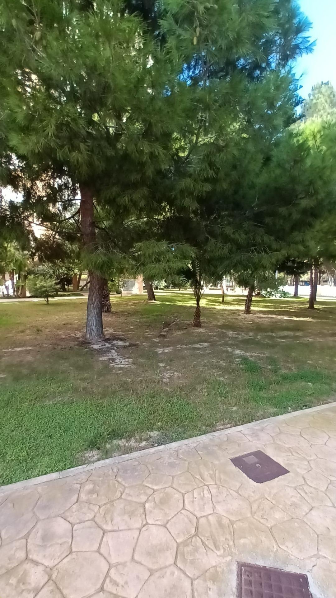 For sale - 3 Bedroom 2 Bathroom Apartment in Orihuela Costa - Campoamor  - Alicante