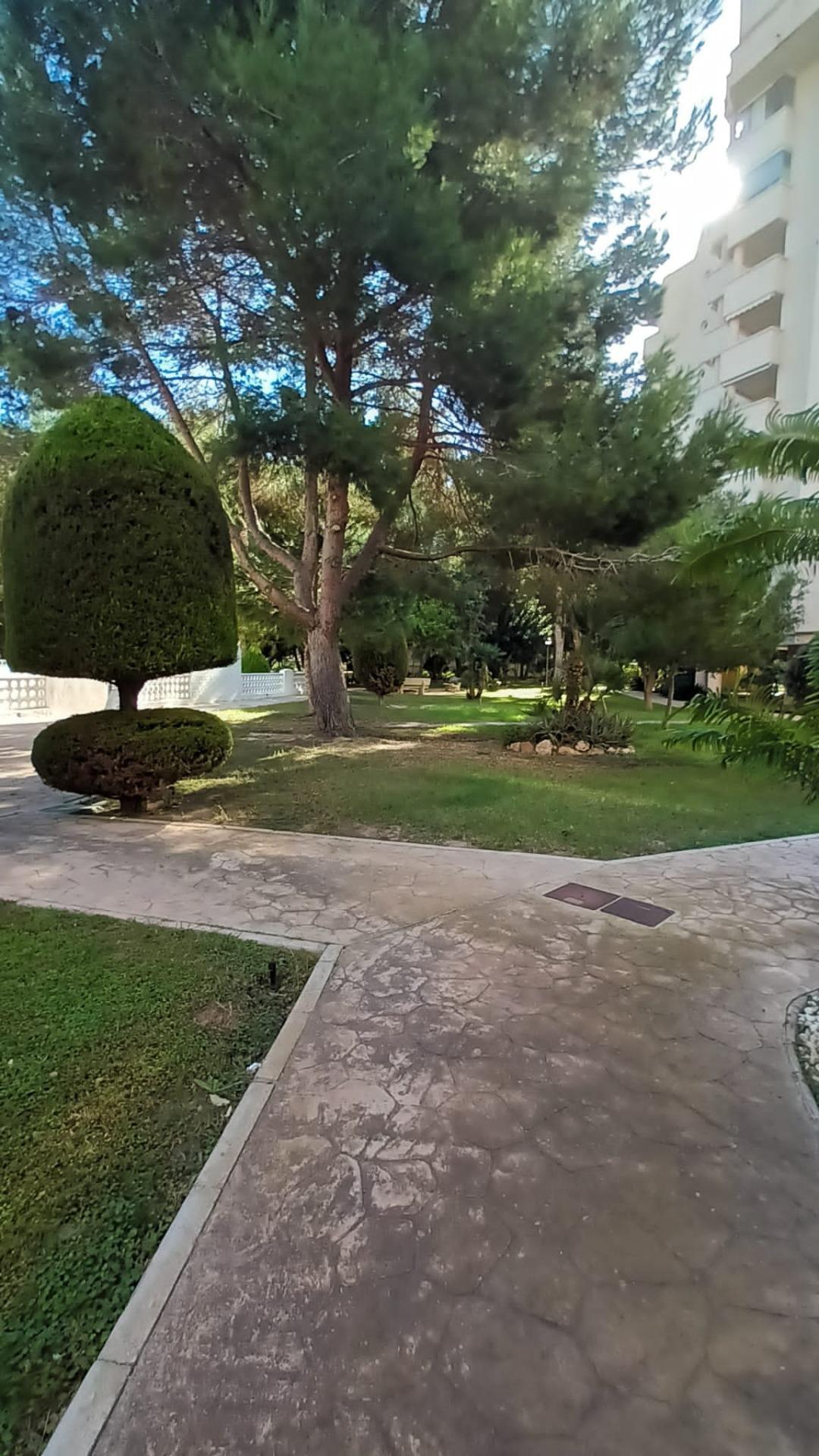 For sale - 3 Bedroom 2 Bathroom Apartment in Orihuela Costa - Campoamor  - Alicante