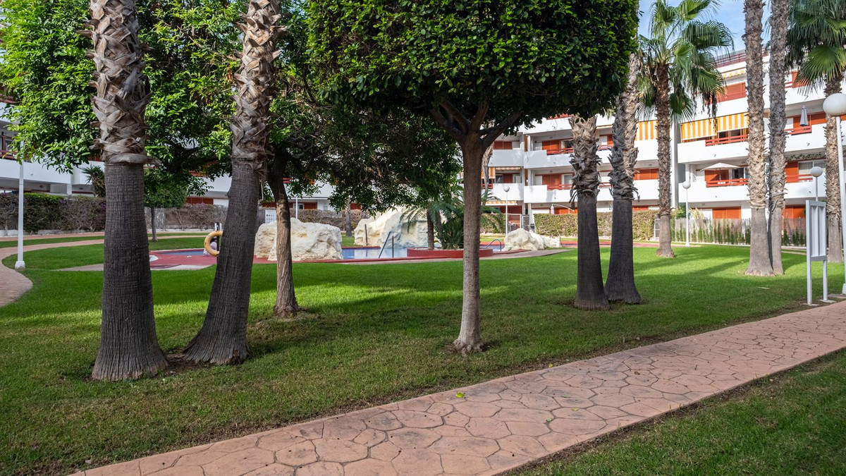 For sale - 3 Bedroom 2 Bathroom Apartment - Ground Floor Apartment in Orihuela - Playa Flamenca  - Alicante