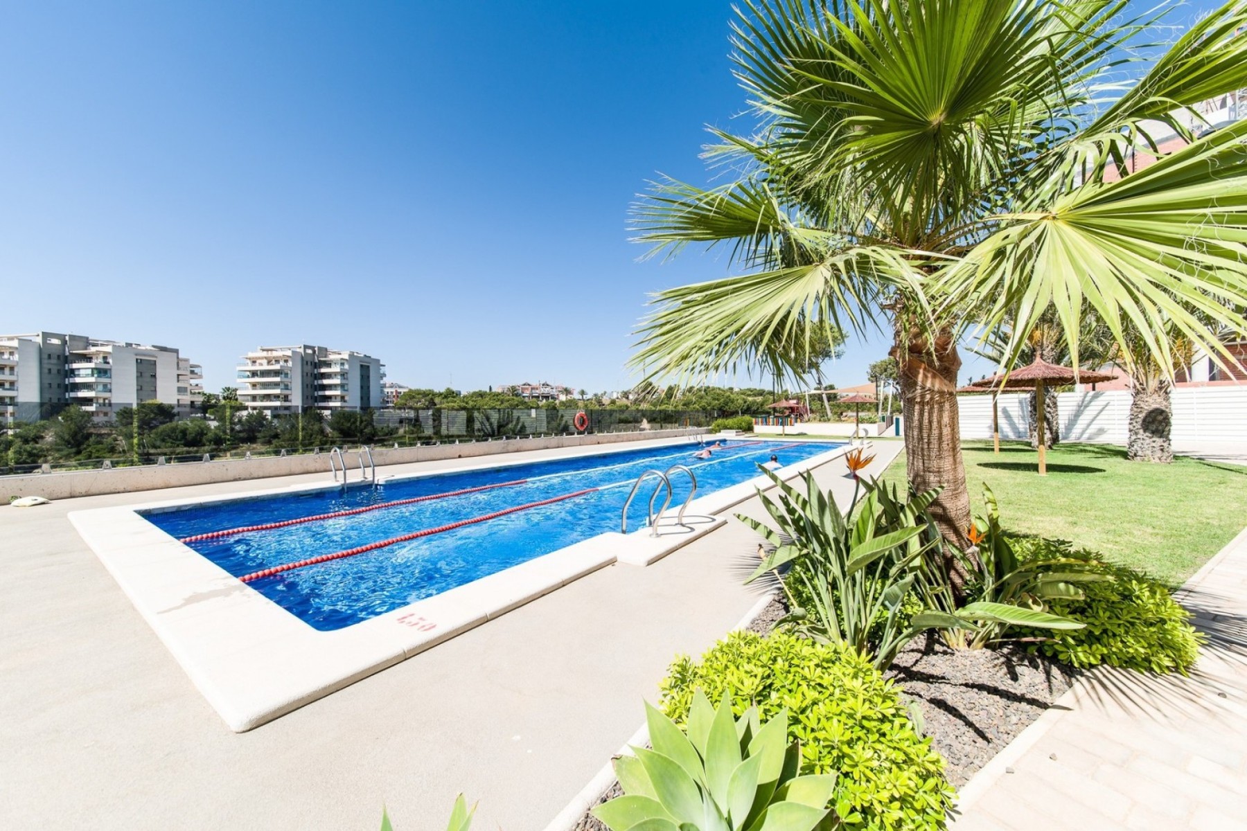 For sale - 3 Bedroom 2 Bathroom Penthouse in Villamartin - Green Hills Los Dolses  - Alicante