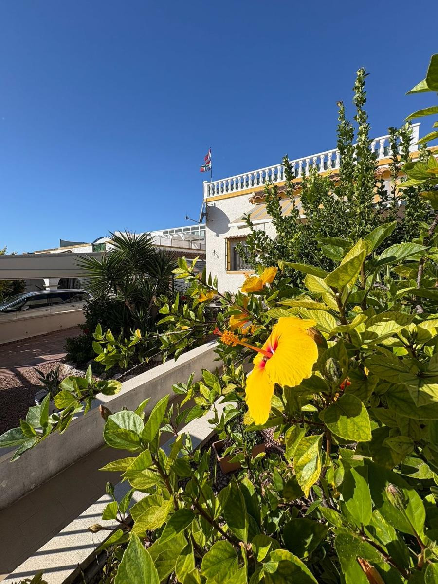 For sale - 3 Bedroom 1 Bathroom House - Semi-Detached House in San Fulgencio - San Fulgencio Centro  - Alicante