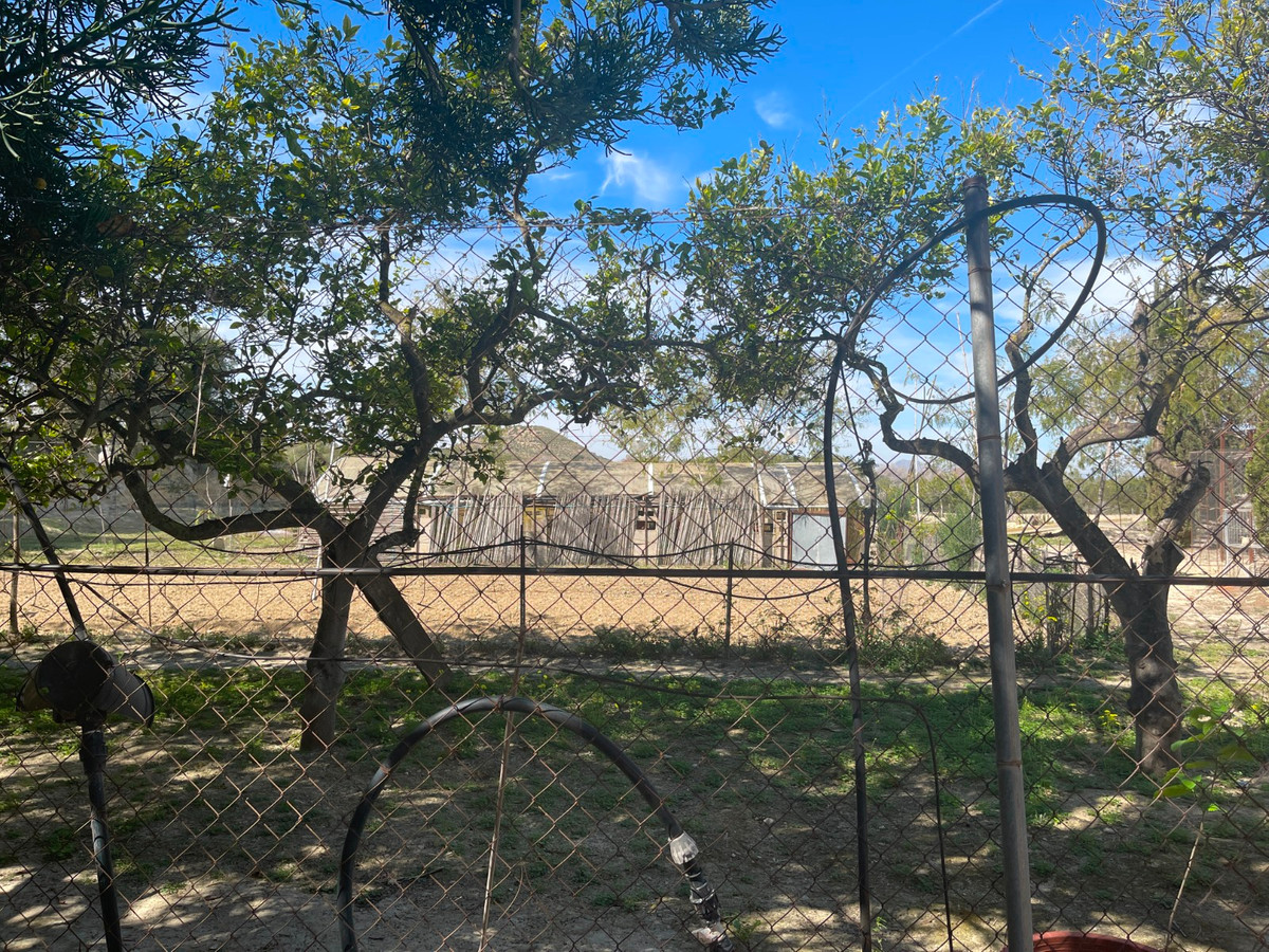 For sale - 3 Bedroom 2 Bathroom House - Detached Villa in Guardamar del Segura - Guardamar del Segura Centro  - Alicante