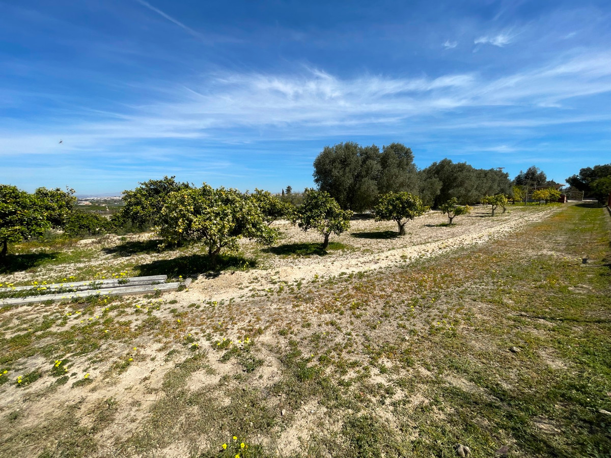 For sale - 3 Bedroom 2 Bathroom House - Detached Villa in Guardamar del Segura - Guardamar del Segura Centro  - Alicante