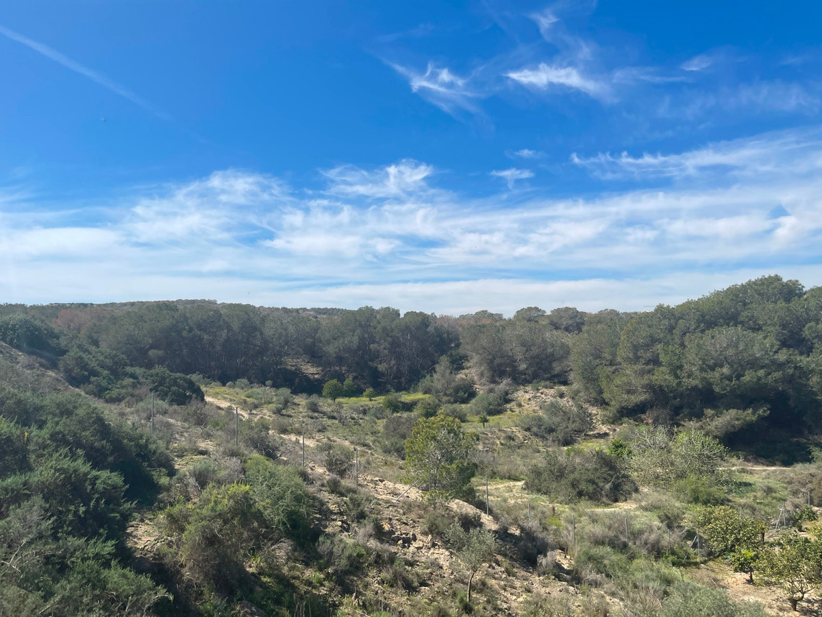 For sale - 3 Bedroom 2 Bathroom House - Detached Villa in Guardamar del Segura - Guardamar del Segura Centro  - Alicante