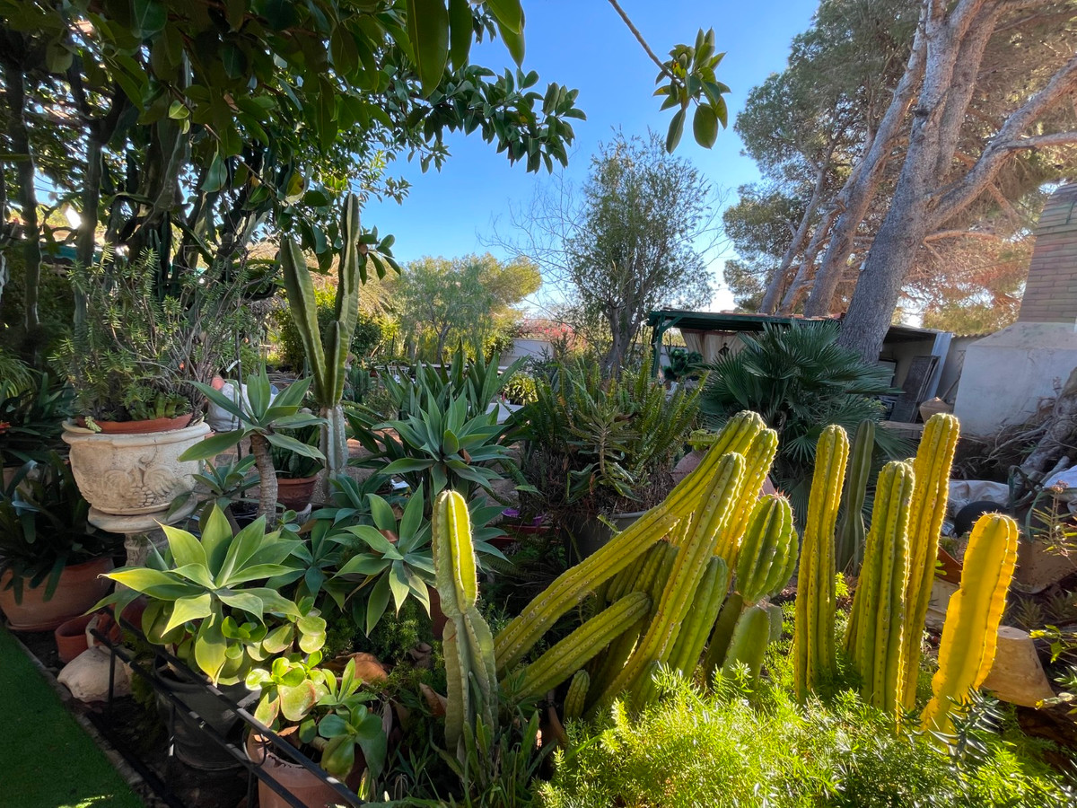 For sale - 5 Bedroom 2 Bathroom House - Detached Villa in Orihuela - Lomas de Cabo Roig  - Alicante