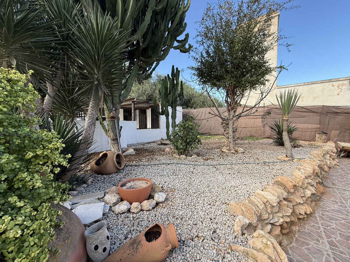 For sale - 4 Bedroom 2 Bathroom House - Finca - Cortijo in Pilar de la Horadada - Pinar de Campoverde  - Alicante