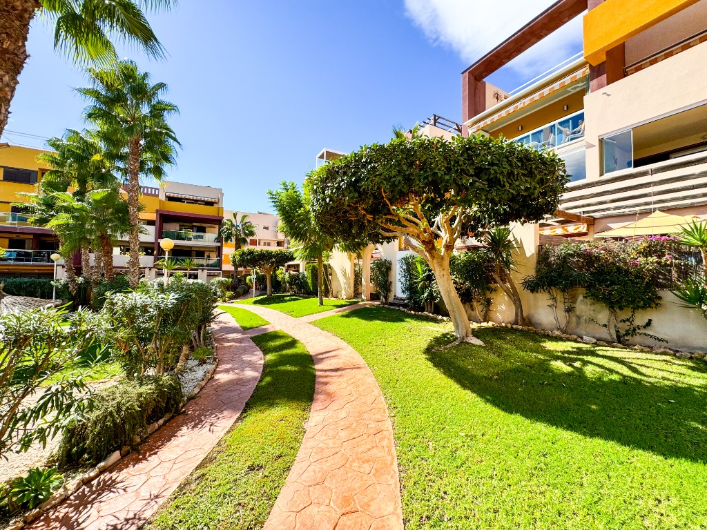For sale - 2 Bedroom 1 Bathroom Apartamento in Playa Flamenca - Playa Flamenca  - Alicante