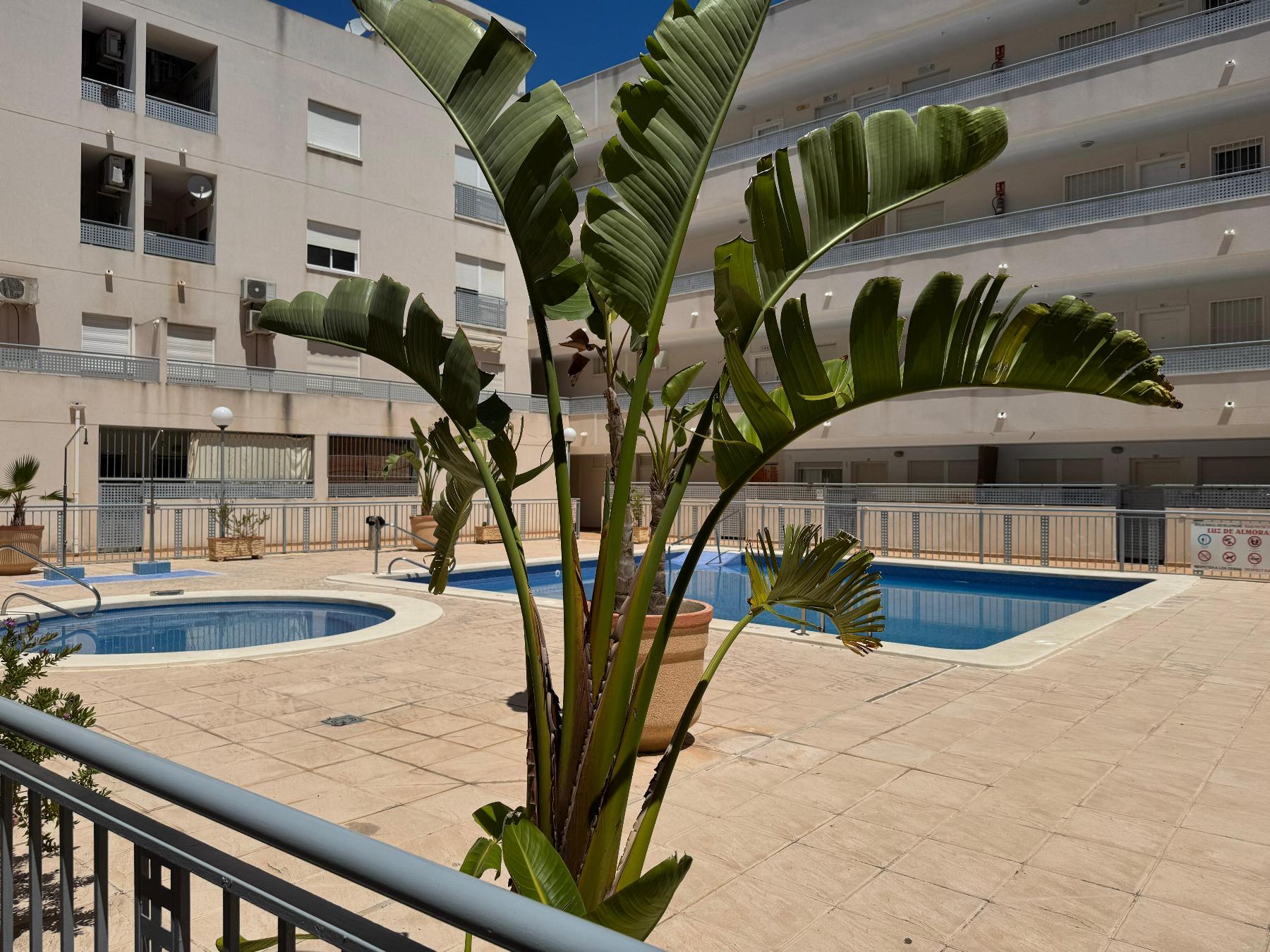 For sale - 2 Bedroom 1 Bathroom Apartamento in Almoradí - almoradi  - Alicante