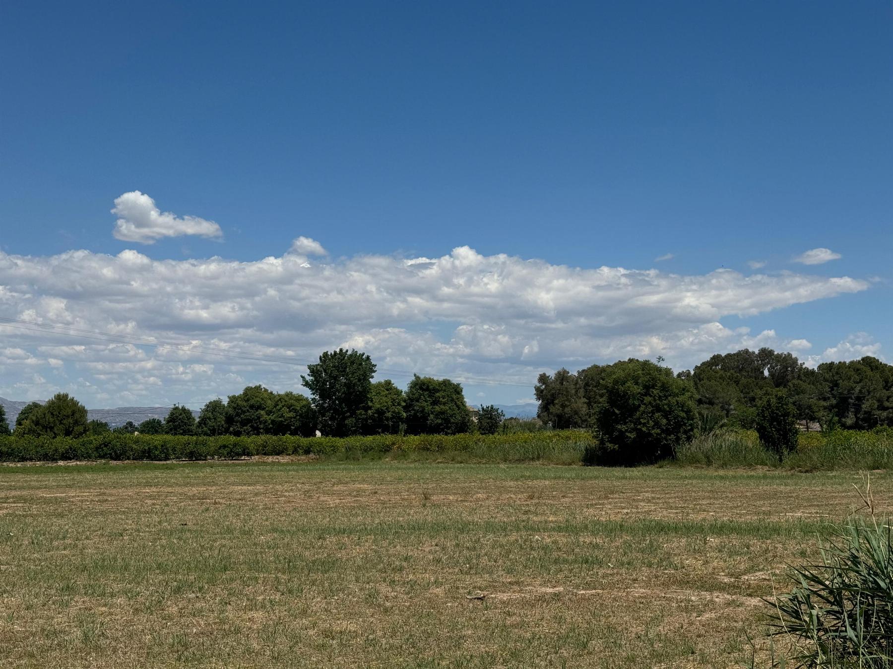 For sale - 2 Bedroom 1 Bathroom Apartamento in Almoradí - almoradi  - Alicante