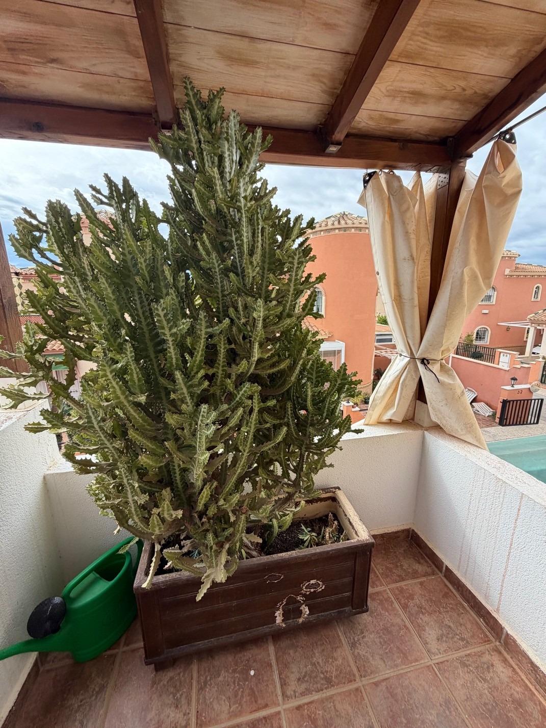 For sale - 3 Bedroom 2 Bathroom Villa in Orihuela Costa - Playa Flamenca  - Alicante