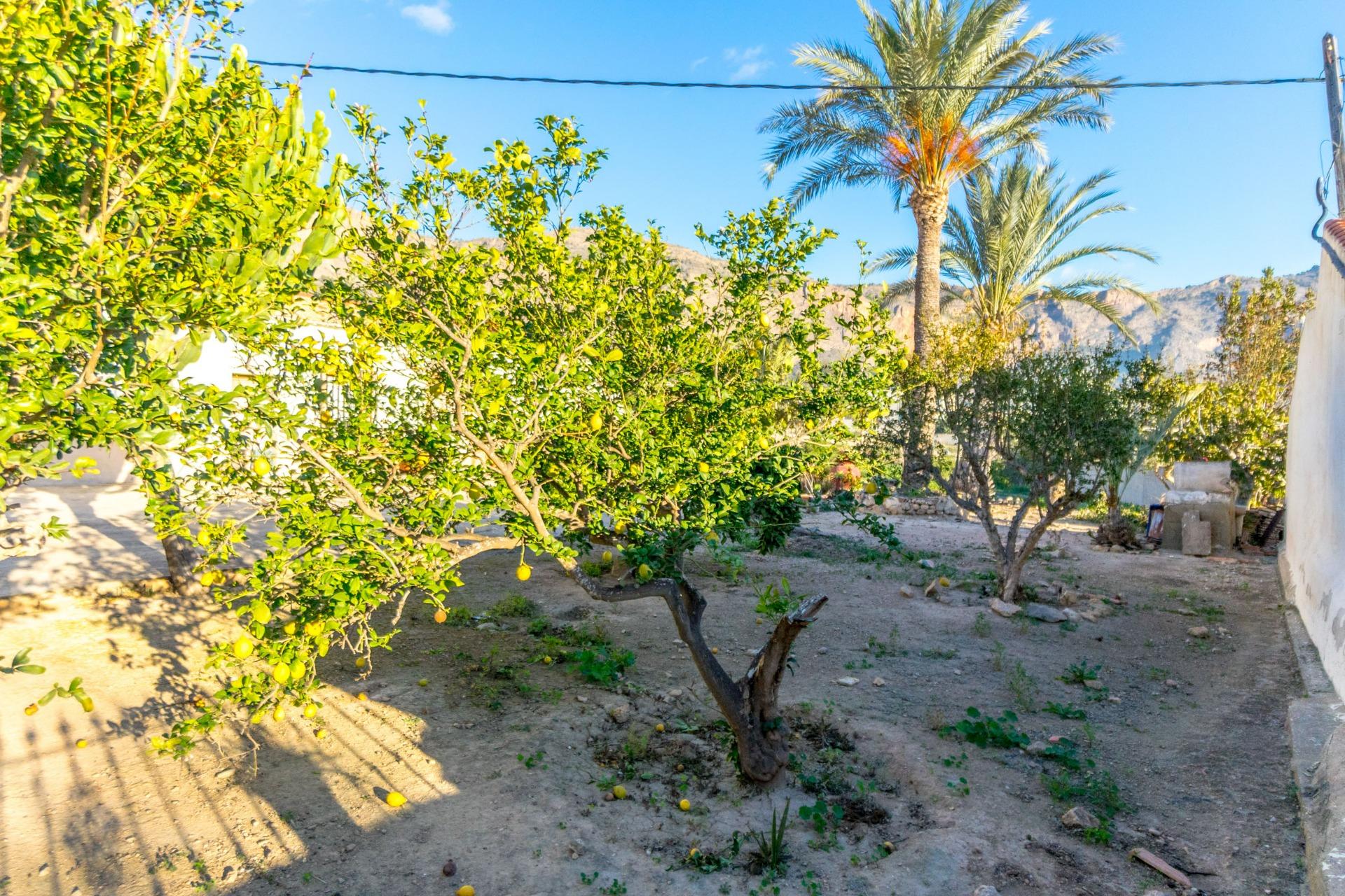 For sale - 4 Bedroom 2 Bathroom Finca in Orihuela - Raiguero De Bonanza  - Alicante
