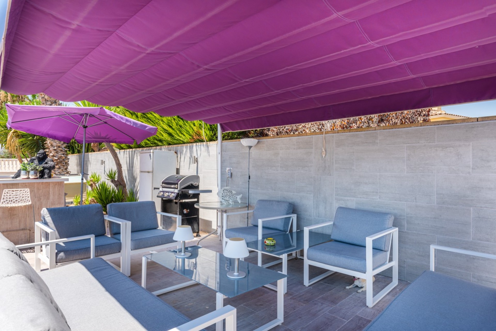 For sale - 4 Bedroom 4 Bathroom Country Property in Catral - Catral  - Alicante
