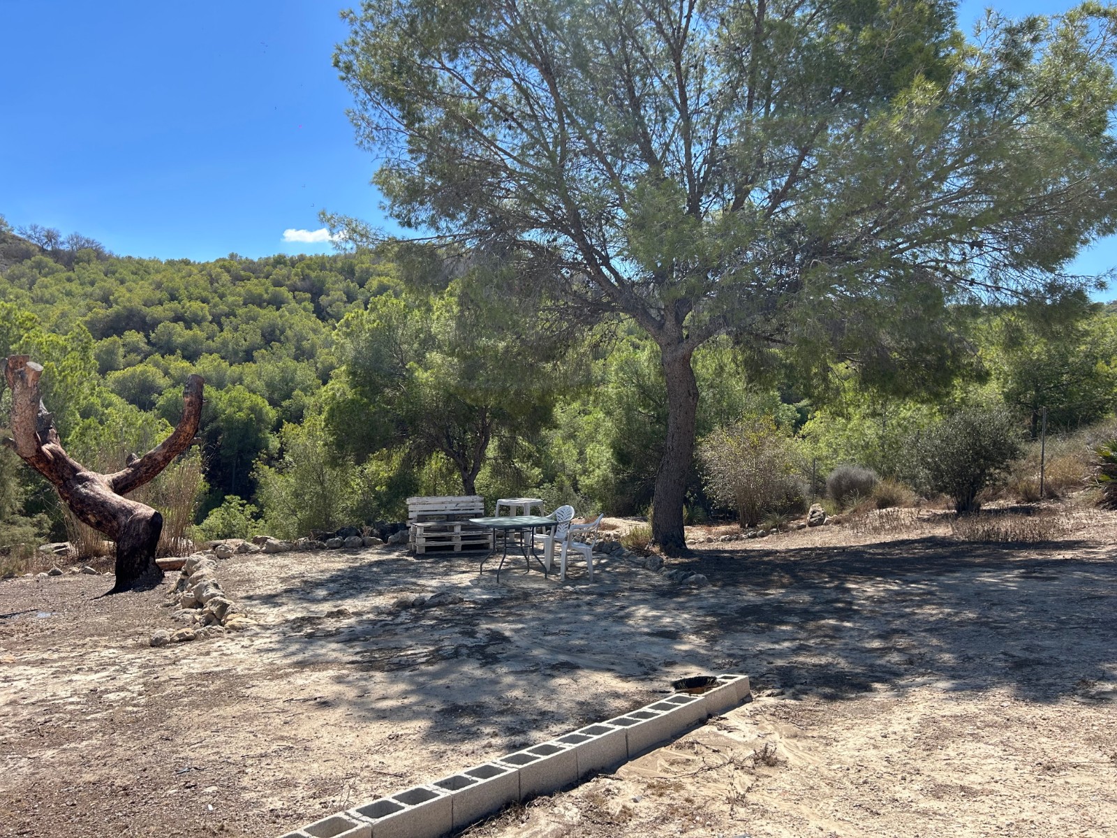 For sale - 2 Bedroom 1 Bathroom Country Property/Finca in Torremendo - Torremendo  - Alicante