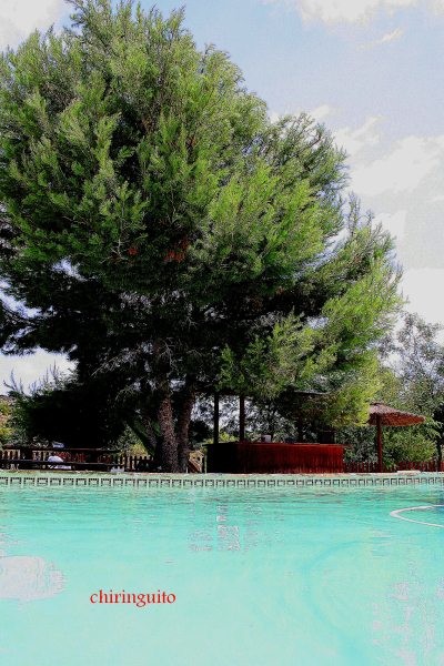 For sale - 3 Bedroom 2 Bathroom Country House in Murcia - Murcia  - Murcia