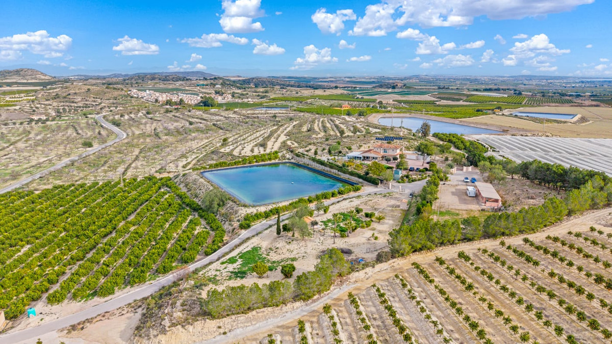 For sale - 4 Bedroom 3 Bathroom House - Finca - Cortijo in Orihuela - Torremendo  - Alicante