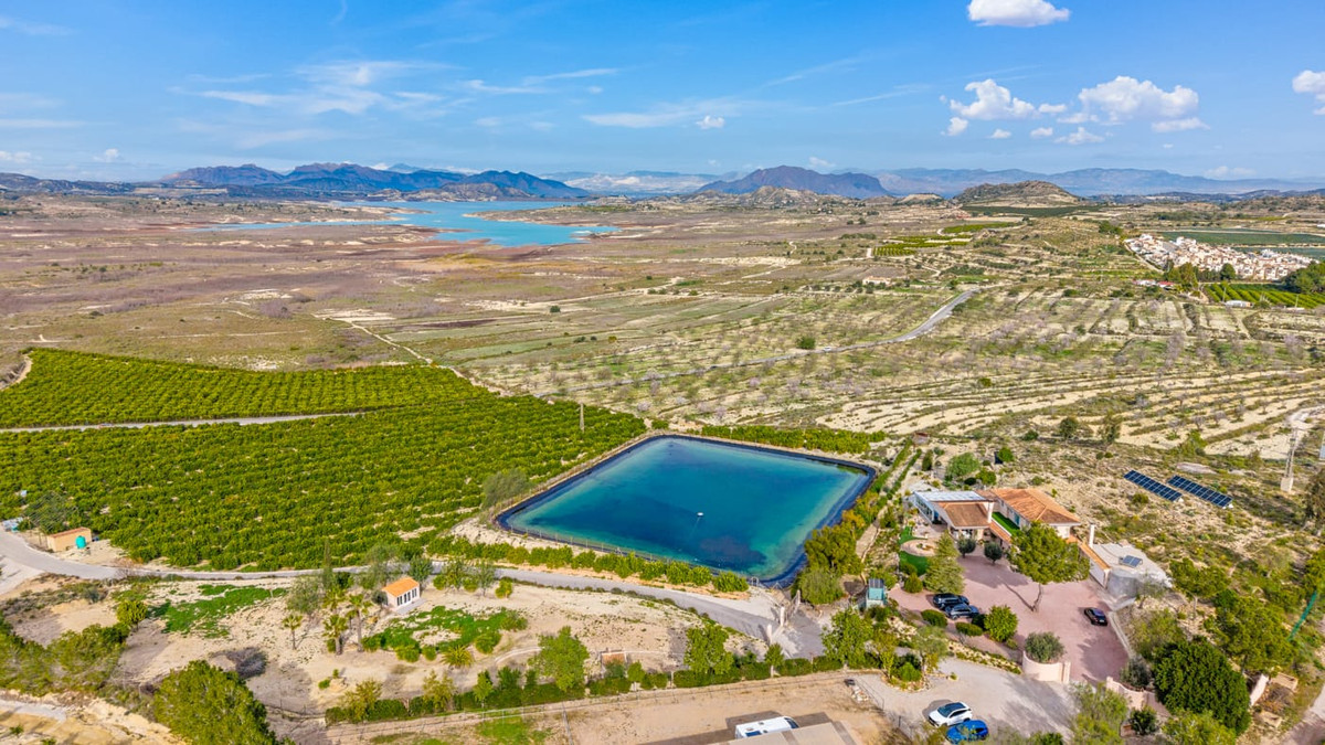 For sale - 4 Bedroom 3 Bathroom House - Finca - Cortijo in Orihuela - Torremendo  - Alicante