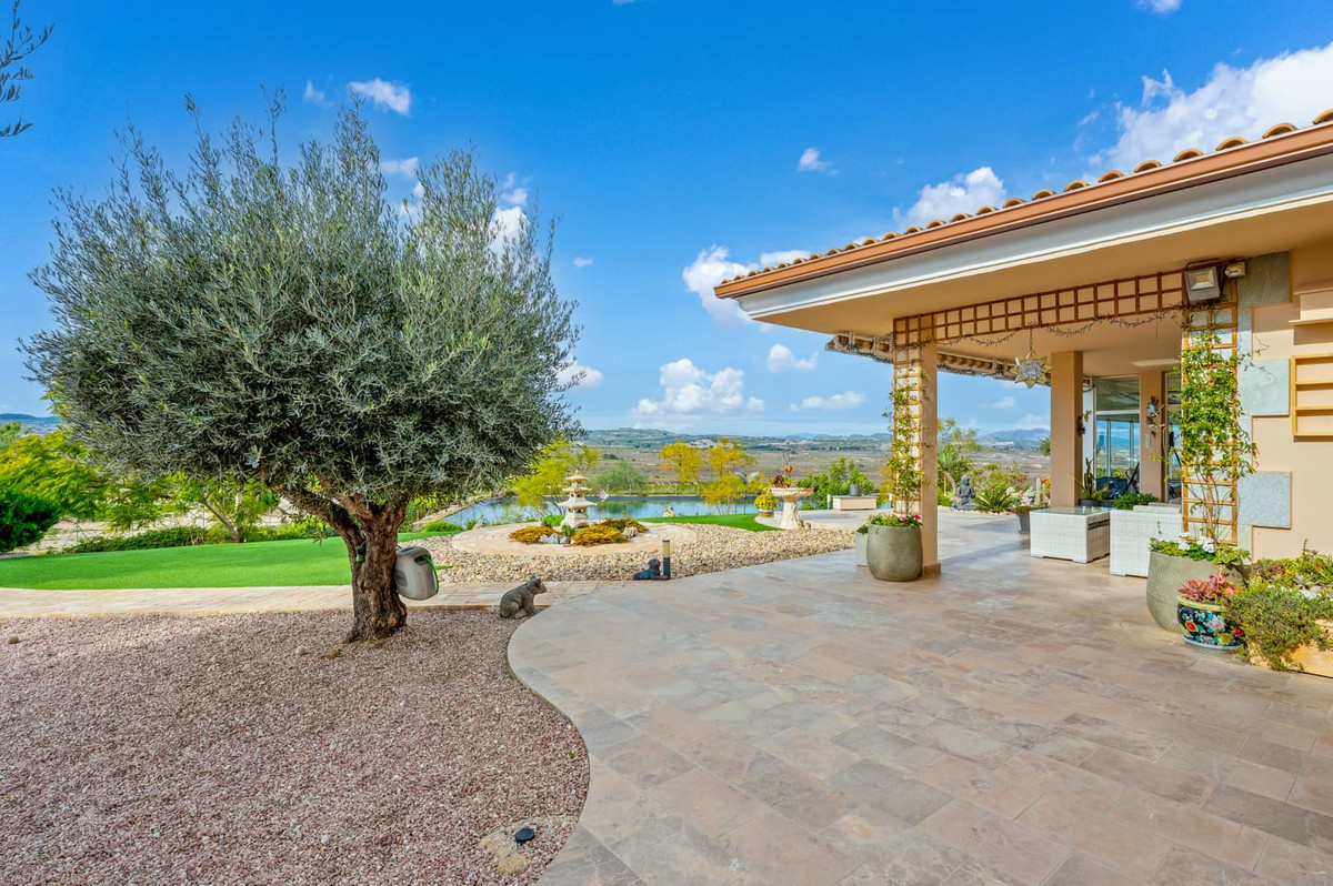 For sale - 4 Bedroom 3 Bathroom House - Finca - Cortijo in Orihuela - Torremendo  - Alicante