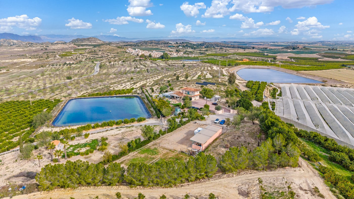 For sale - 4 Bedroom 3 Bathroom House - Finca - Cortijo in Orihuela - Torremendo  - Alicante