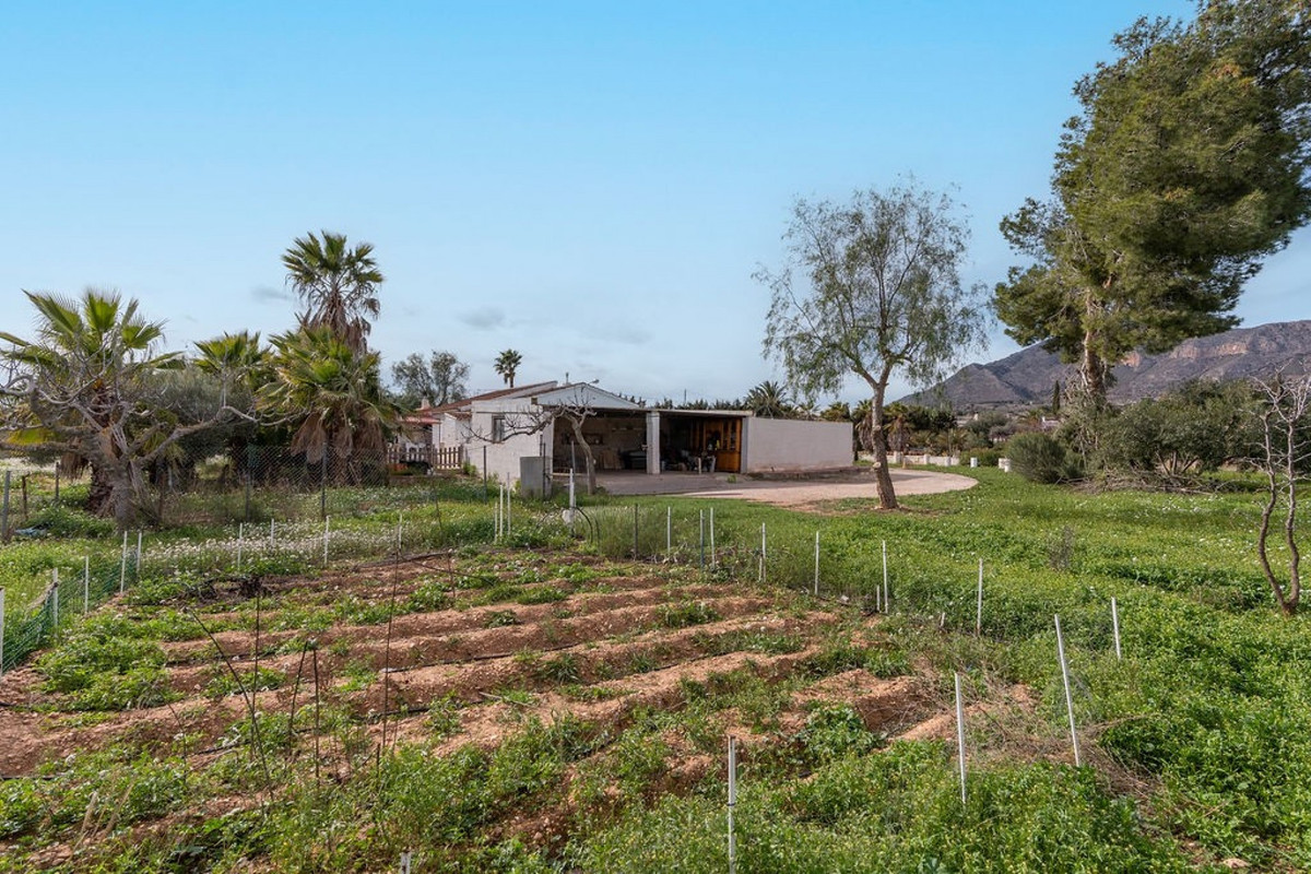 For sale - 3 Bedroom 2 Bathroom House - Finca - Cortijo in Hondón de las Nieves - Hondón de las Nieves Centro  - Alicante