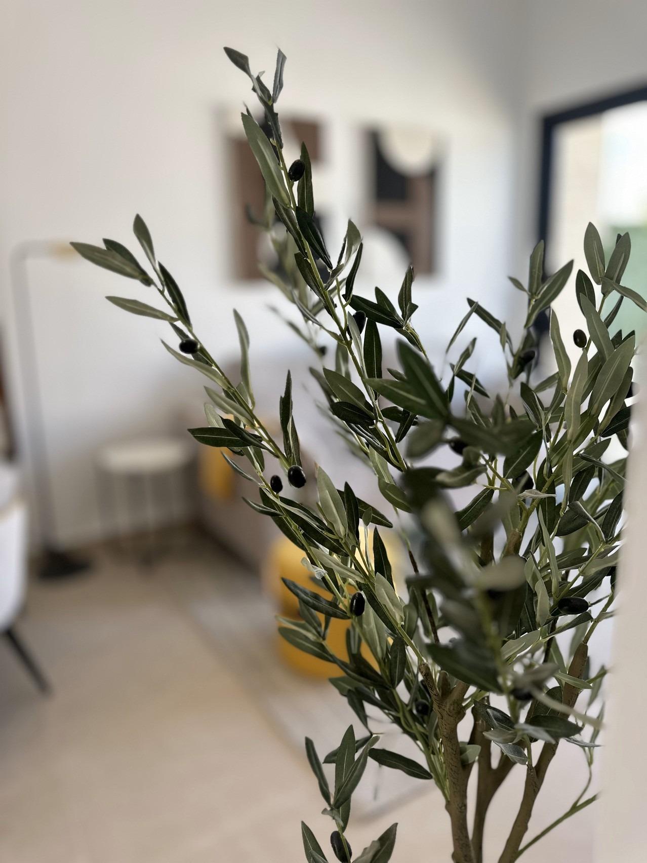 For sale - 2 Bedroom 2 Bathroom Bungalow in San Fulgencio - Pueblo  - Alicante