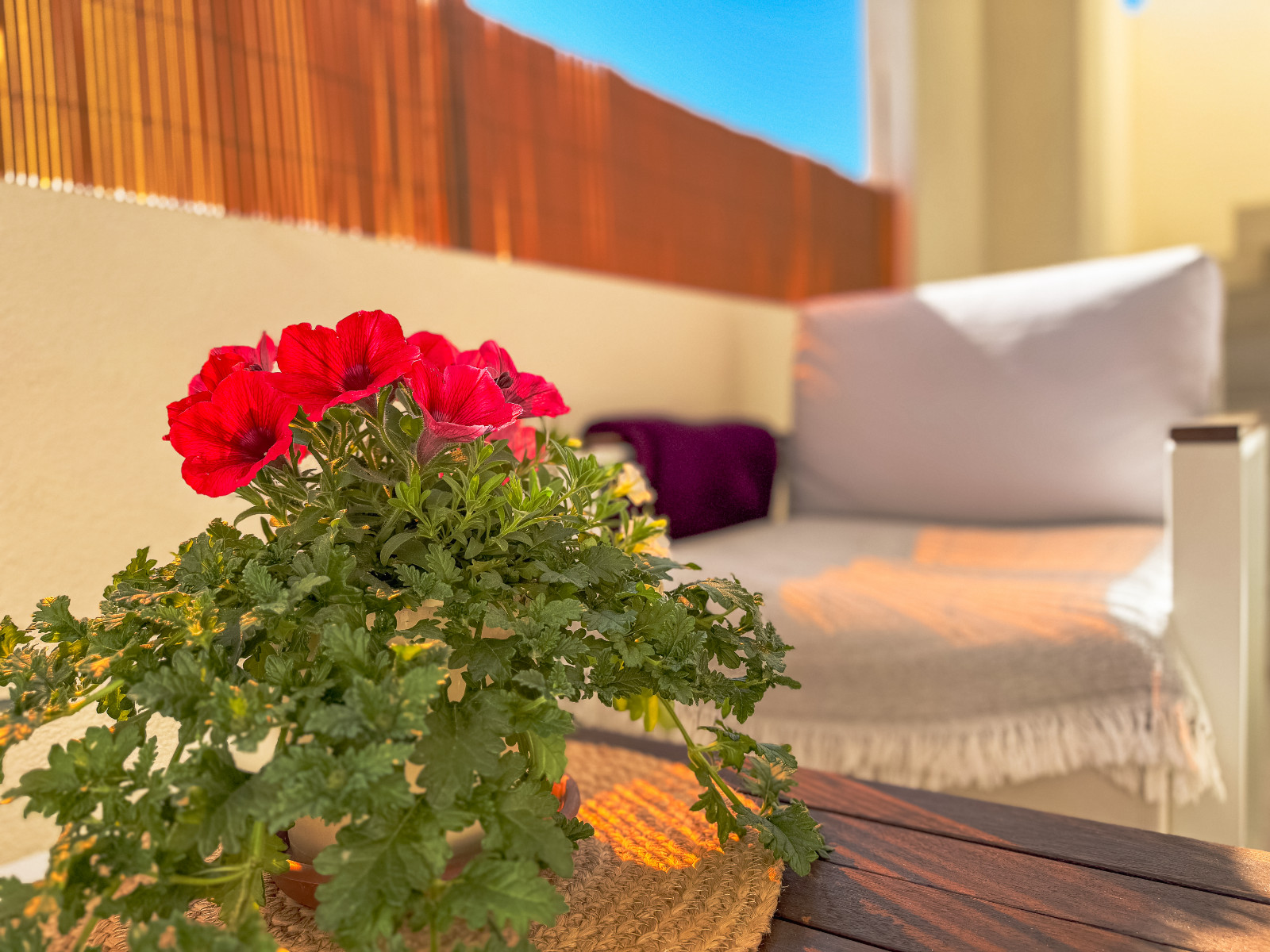 For sale - 2 Bedroom 2 Bathroom Bungalow in Los Altos - Costa Blanca  - Alicante