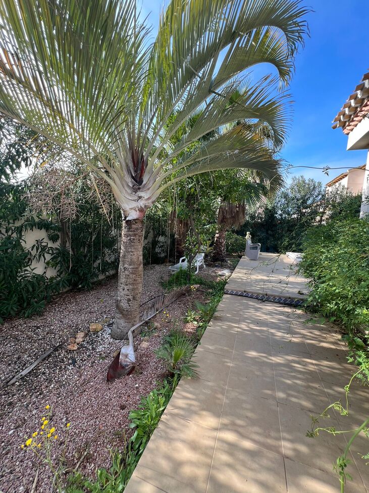 For sale - 3 Bedroom 2 Bathroom Villa in Playa Flamenca - Playa Flamenca  - Alicante