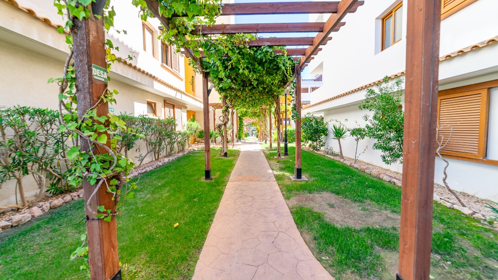For sale - 2 Bedroom 2 Bathroom Apartament in Punta Prima - Punta Prima  - Alicante