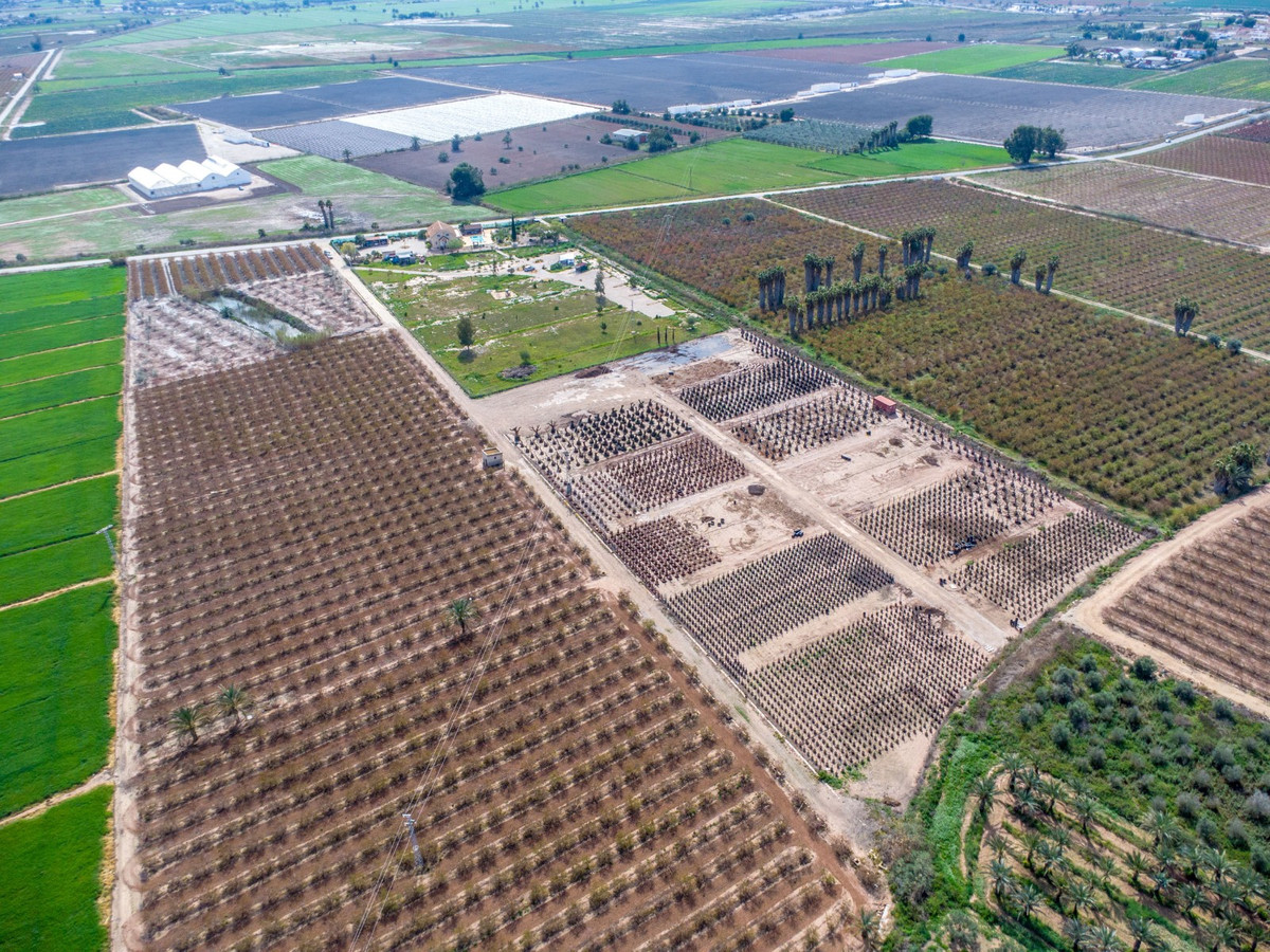 For sale - 5 Bedroom 3 Bathroom House - Finca - Cortijo in Crevillente - Crevillent - Crevillente - Crevillent Centro  - Alicante